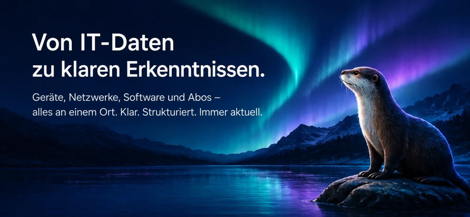 Von IT-Daten zu klaren Erkenntnissen.
