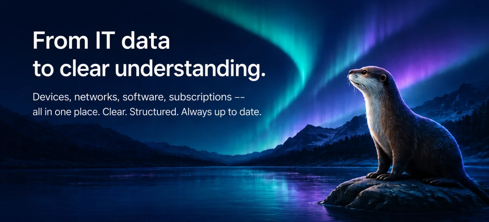 From IT data to clear understanding.